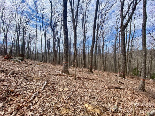 TBD Old Chestnut Mountain Road, Newland, NC 28657