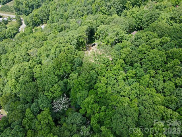 TBD Old Chestnut Mountain Road, Newland, NC 28657