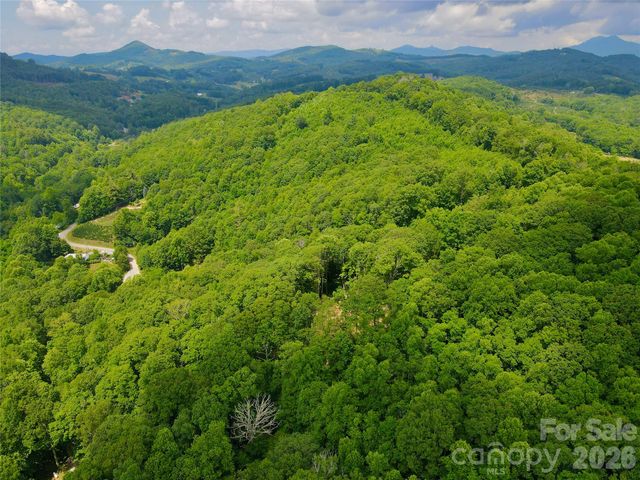 TBD Old Chestnut Mountain Road, Newland, NC 28657