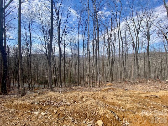 TBD Old Chestnut Mountain Road, Newland, NC 28657
