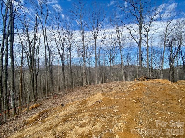 TBD Old Chestnut Mountain Road, Newland, NC 28657