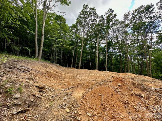 TBD Old Chestnut Mountain Road, Newland, NC 28657