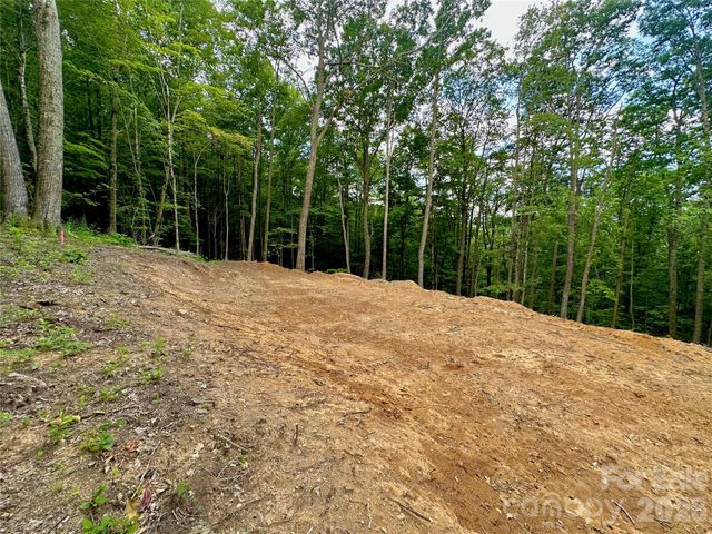 TBD Old Chestnut Mountain Road, Newland, NC 28657
