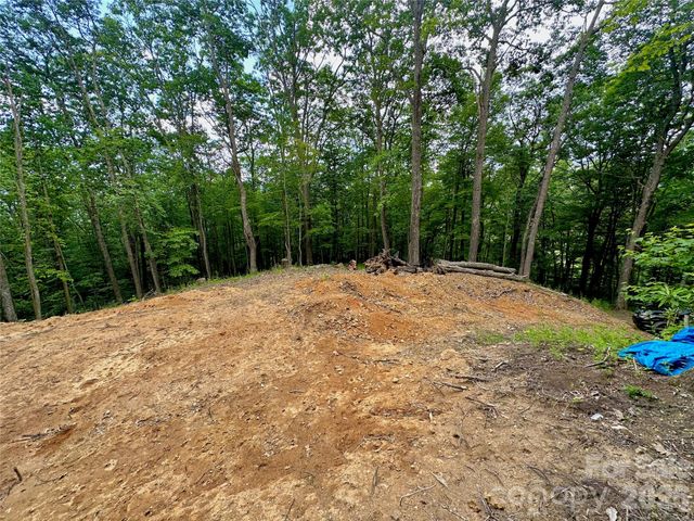 TBD Old Chestnut Mountain Road, Newland, NC 28657