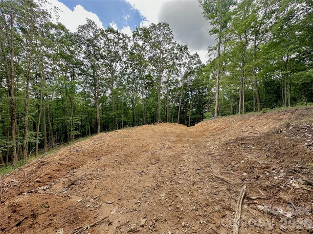 TBD Old Chestnut Mountain Road, Newland, NC 28657
