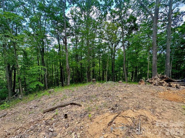 TBD Old Chestnut Mountain Road, Newland, NC 28657