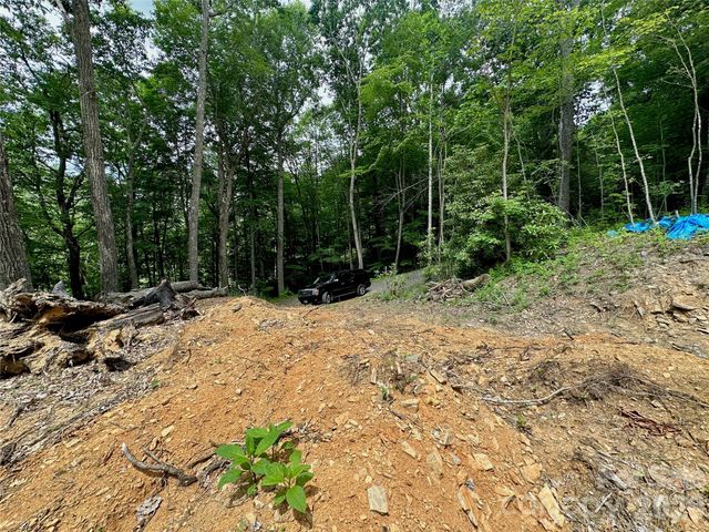 TBD Old Chestnut Mountain Road, Newland, NC 28657