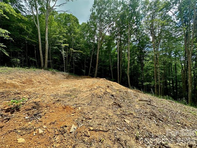 TBD Old Chestnut Mountain Road, Newland, NC 28657