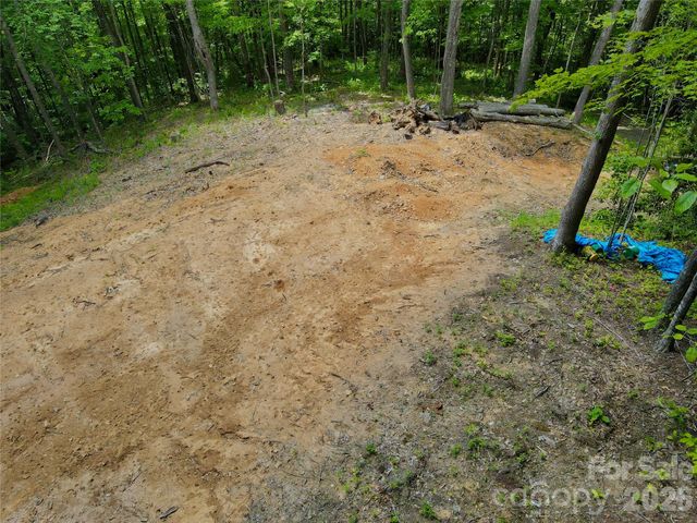 TBD Old Chestnut Mountain Road, Newland, NC 28657