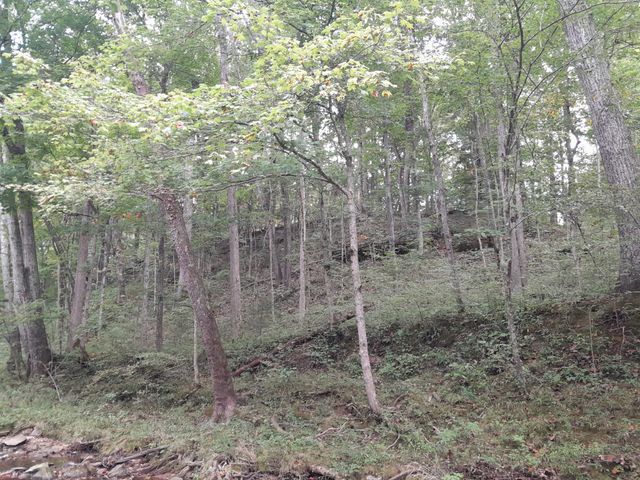 0 Meadows Rd, Portland, TN 37148