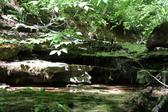 0 Meadows Rd, Portland, TN 37148