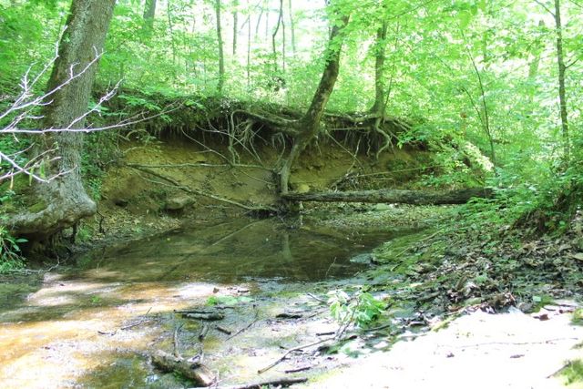 0 Meadows Rd, Portland, TN 37148