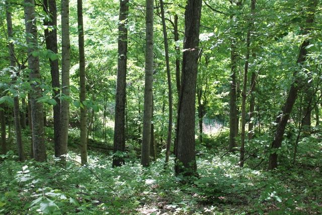 0 Meadows Rd, Portland, TN 37148