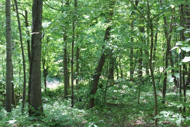 0 Meadows Rd, Portland, TN 37148