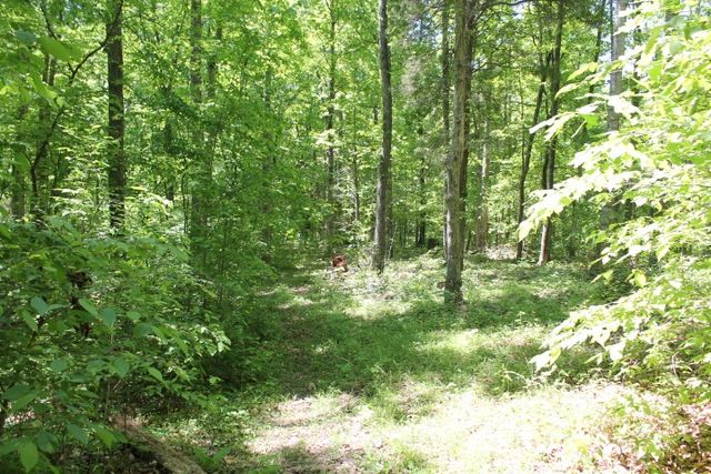 0 Meadows Rd, Portland, TN 37148