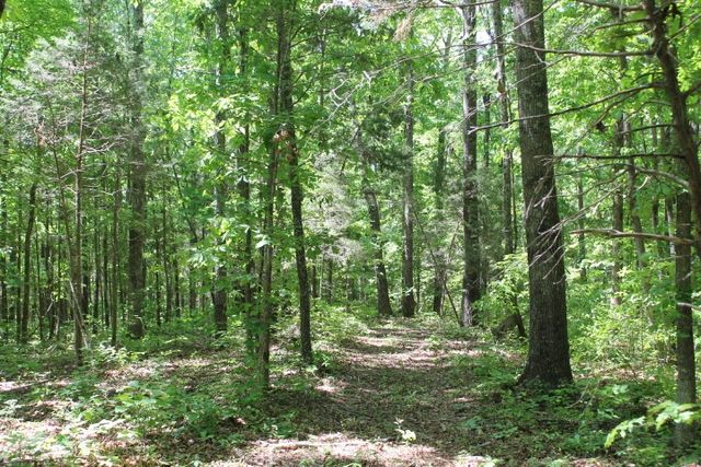 0 Meadows Rd, Portland, TN 37148
