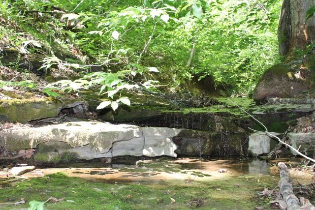 0 Meadows Rd, Portland, TN 37148