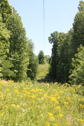 0 Meadows Rd, Portland, TN 37148