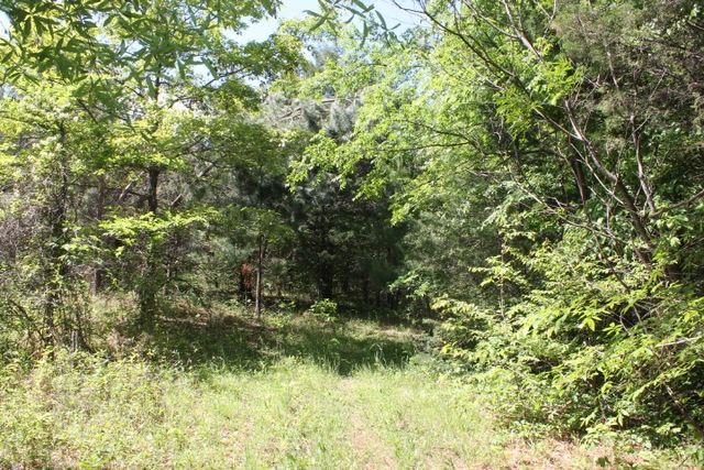 0 Meadows Rd, Portland, TN 37148