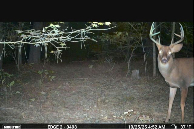 0 Meadows Rd, Portland, TN 37148