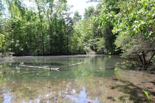 0 Meadows Rd, Portland, TN 37148