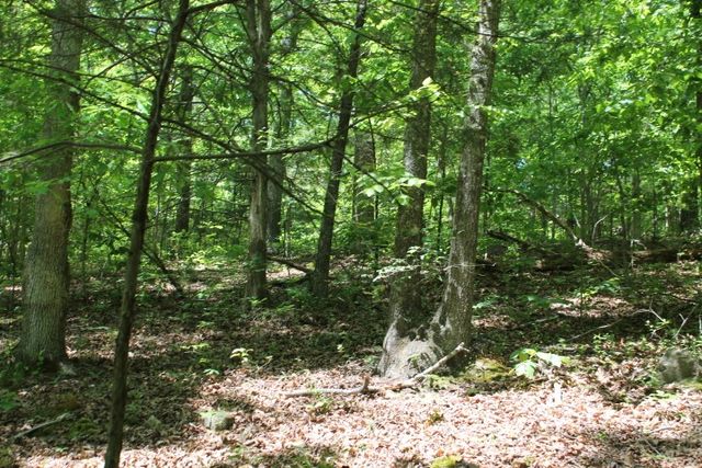 0 Meadows Rd, Portland, TN 37148