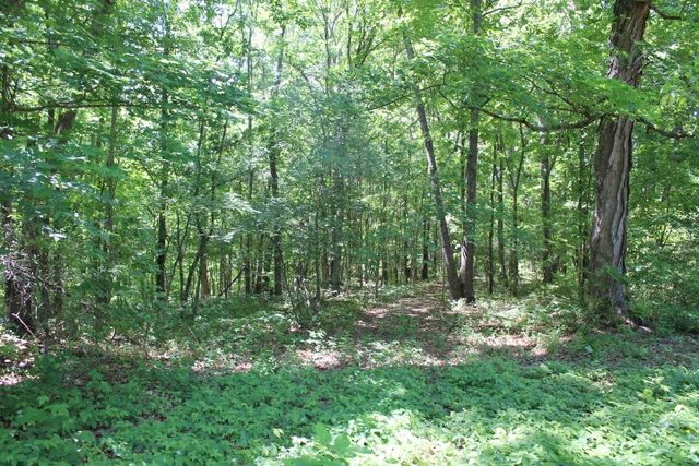 0 Meadows Rd, Portland, TN 37148