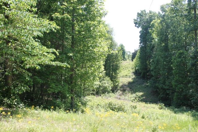 0 Meadows Rd, Portland, TN 37148
