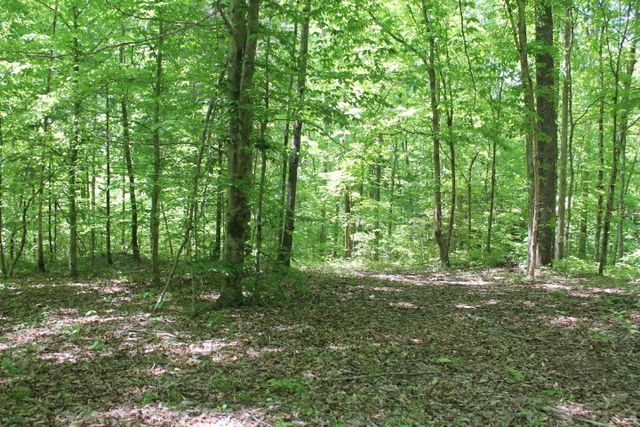 0 Meadows Rd, Portland, TN 37148