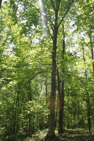 0 Meadows Rd, Portland, TN 37148