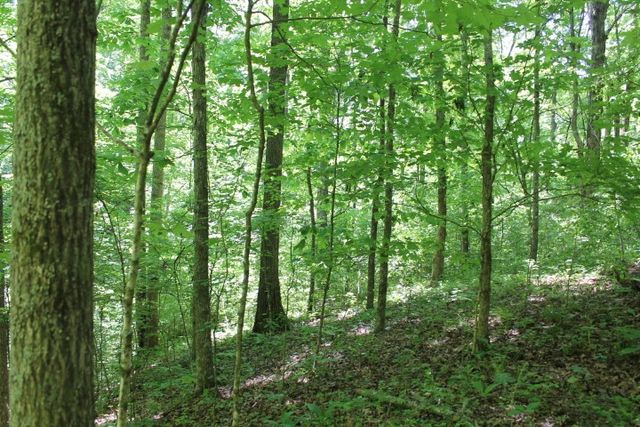 0 Meadows Rd, Portland, TN 37148
