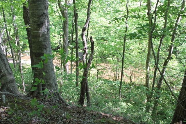 0 Meadows Rd, Portland, TN 37148
