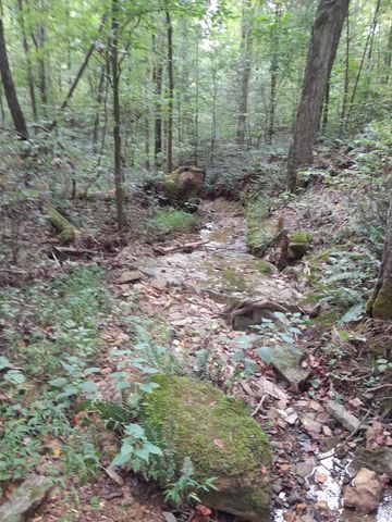 0 Meadows Rd, Portland, TN 37148