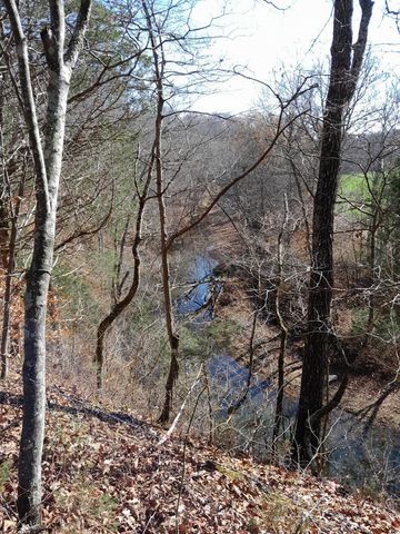 0 Meadows Rd, Portland, TN 37148