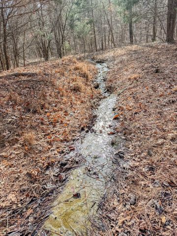 0 Meadows Rd, Portland, TN 37148