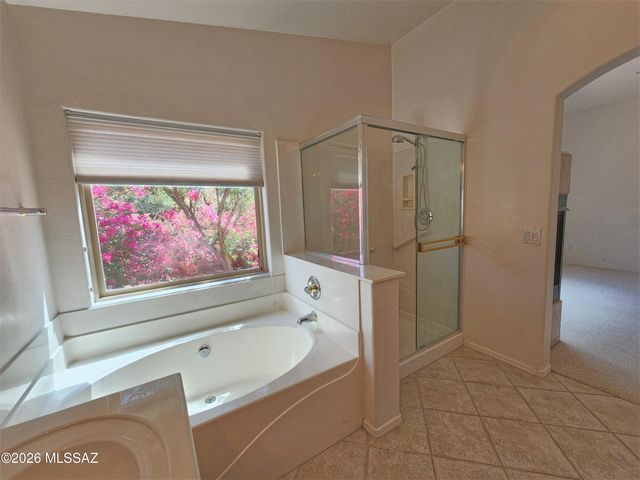 8340 N Austin Nikolas Court, Tucson, AZ 85704