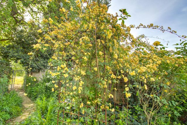 1076 Sand Bar Cir, Carmichael, CA 95608