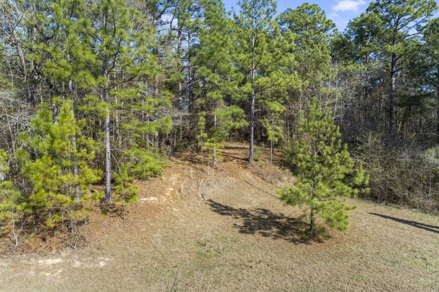 Lot 1 Magnolia Drive, Petal, MS 39465