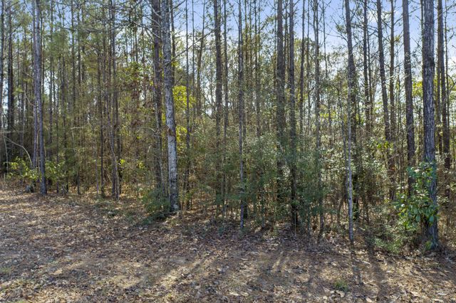 Lot 1 Magnolia Drive, Petal, MS 39465