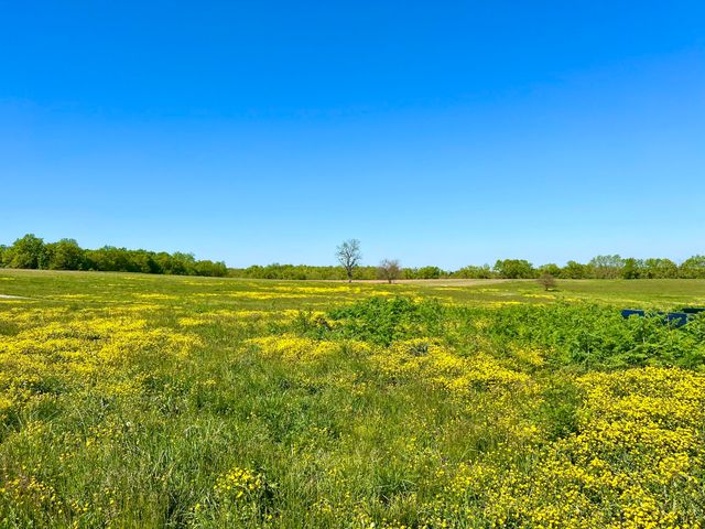 306 Appaloosa Trail, Wilmore, KY 40390