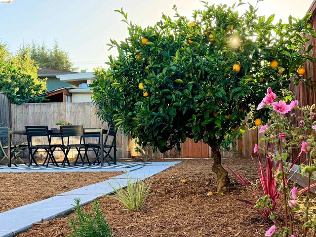 710 Cornell Ave, Albany, CA 94706