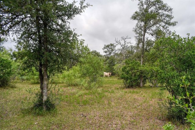 339 Elm Forest LOOP, Cedar Creek, TX 78612