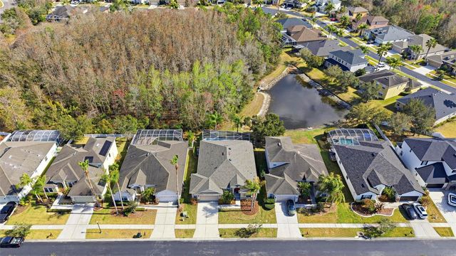 3235 GRASSGLEN PLACE, Wesley Chapel, FL 33544