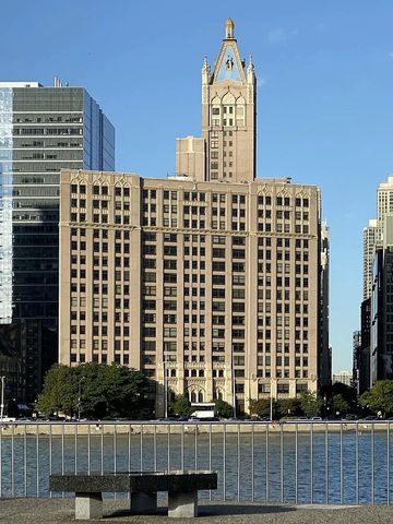 680 N Lake Shore Drive 1119, Chicago, IL 60611