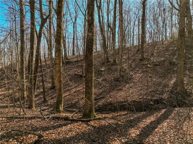 Lot 6 Mount Mincie Road, Murrayville, GA 30564