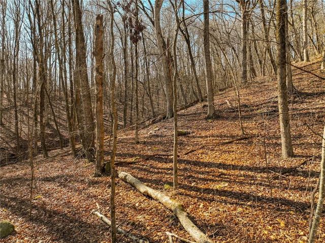 Lot 6 Mount Mincie Road, Murrayville, GA 30564