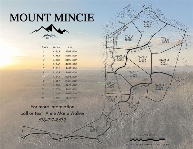 Lot 6 Mount Mincie Road, Murrayville, GA 30564
