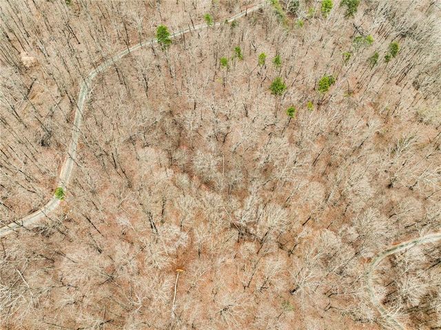 Lot 6 Mount Mincie Road, Murrayville, GA 30564