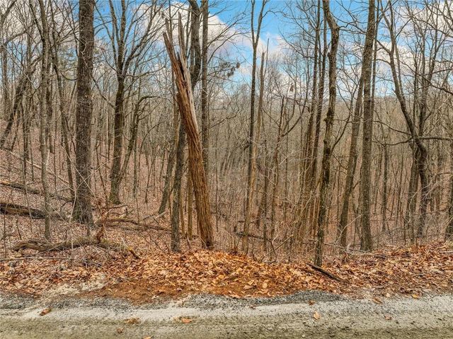 Lot 6 Mount Mincie Road, Murrayville, GA 30564