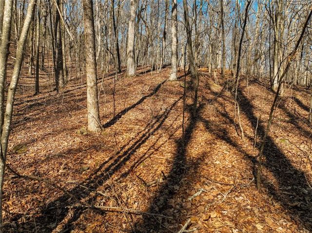 Lot 6 Mount Mincie Road, Murrayville, GA 30564